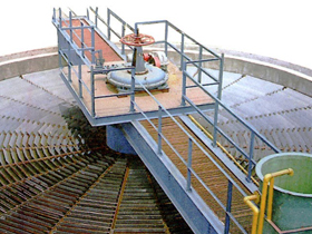 NZS��ʽŨ����